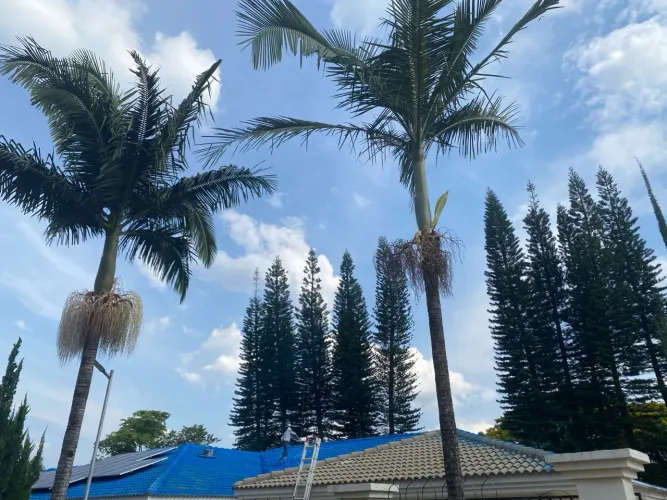 Limpeza de telhados e pisos 