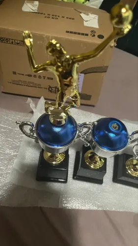 Troféu de vôlei