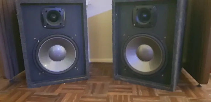 Par de caixa passiva 10"