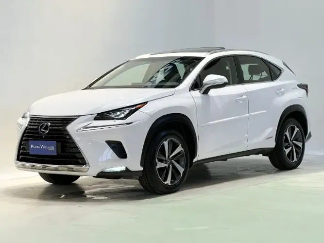 Lexus NX-300 H Luxury 2.5 16V Aut. 2019