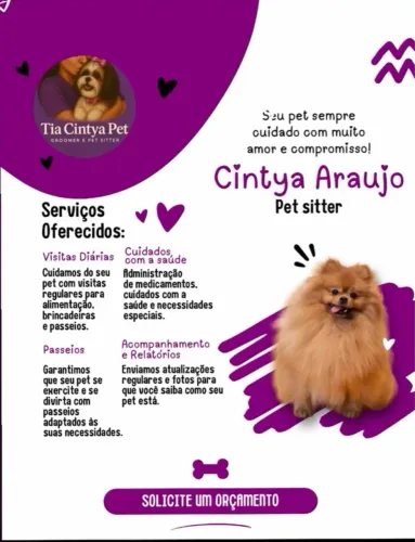 Pet sitter (babá de pet)