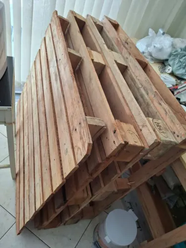 Vendo palite