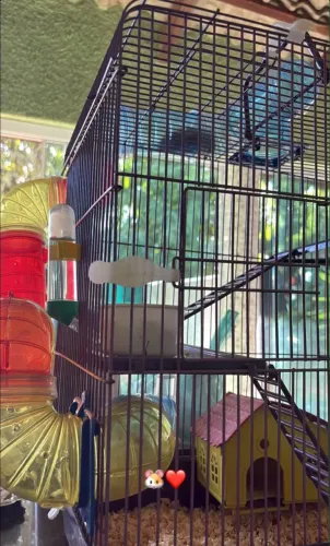 Gaiola de hamster 