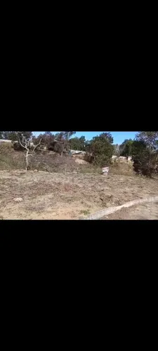 Terreno lote