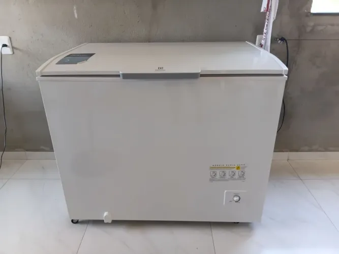 Freezer Electrolux