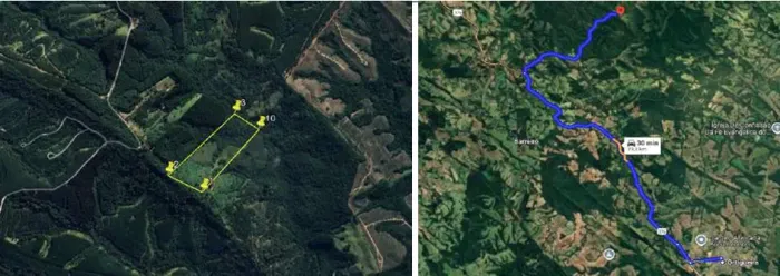 Imóvel rural, com142.780,00 m².ESTR.FAZENDA BARROSA - SÍTIO SÃO SEBASTIÃO - Ortigueira/PR