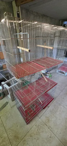 Gaiolas para reprodução de aves