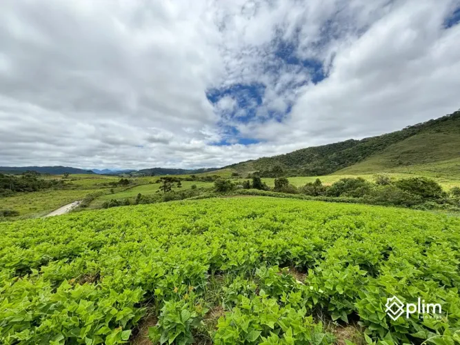 Terreno de 3 Hectares à Venda em Bom Retiro para Sítio