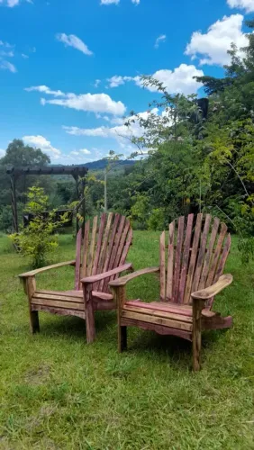 Vendo duas Adirondack por preço de uma 700 reais 