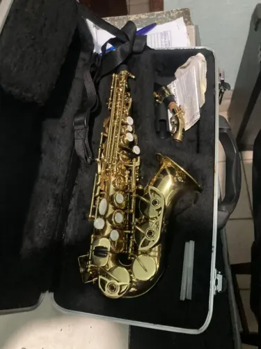 SAX ALTO WINNER BARATO!!!