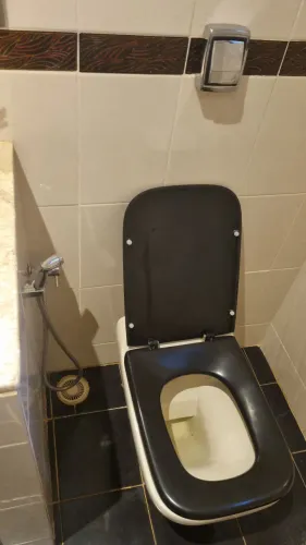 Três vasos sanitários- LAVOU, TA NOVO!