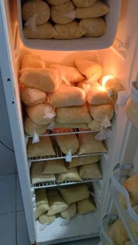 Polpa de cupuaçu pura cortada na tesoura R$10,00/kg