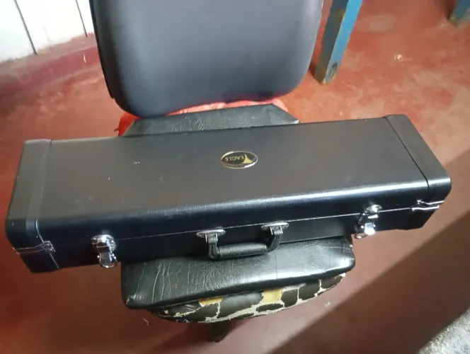 Sax em SB Eagle sp 502