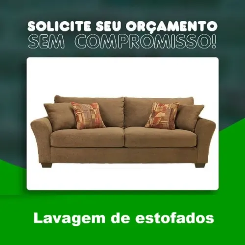 Lavagem a seco - profissional