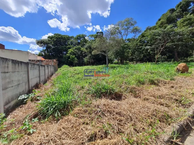 Lote em Florestal com 314,46m².