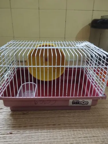Gaiola de hamsters 