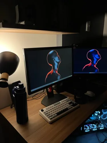 MONITOR BENQ ZOWIE XL2411k