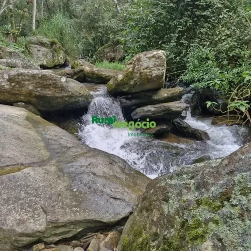 CHÁCARA FORMADA COM RIO DE ÁGUAS CRISTALINAS NO RIBEIRÃO GRANDE EM PINDAMONHANGABA-SP