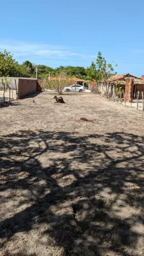 Terreno em Cajueiro da Praia (Piauí)