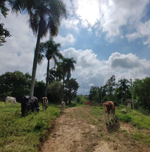 Terreno rural