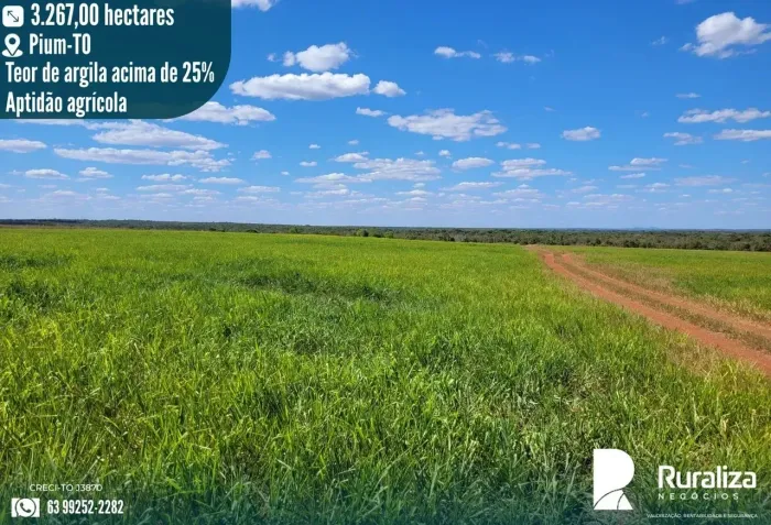 Fazenda de Alto Potencial em Pium-TO  3.267 ha para Lavoura e Pecuária