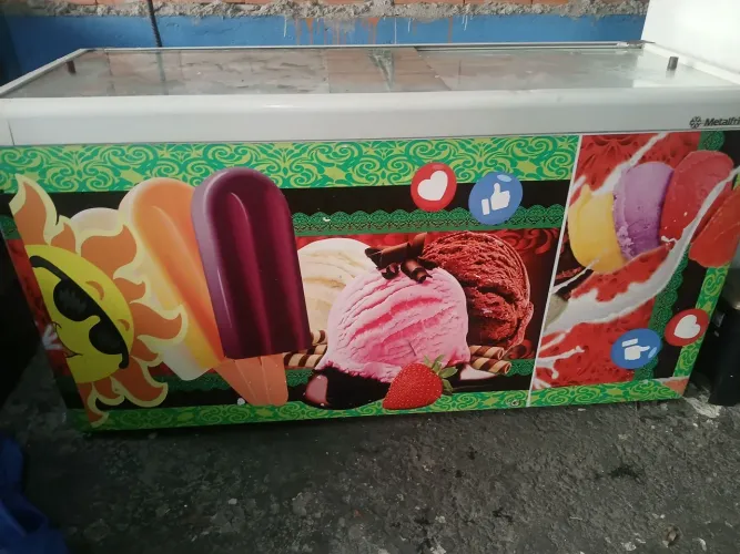 Freezer horizontal