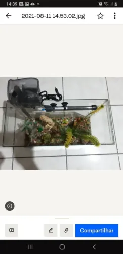 Aquário 25 Litros 20x45x28.