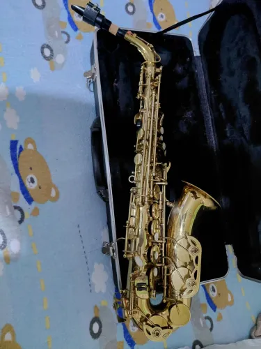Sax alto shelter