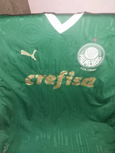 Camisa palmeiras 