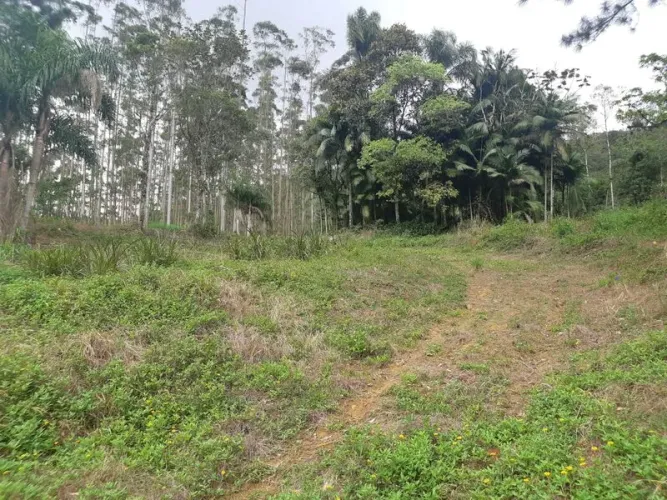 Terreno RIO DOS CEDROS - SC