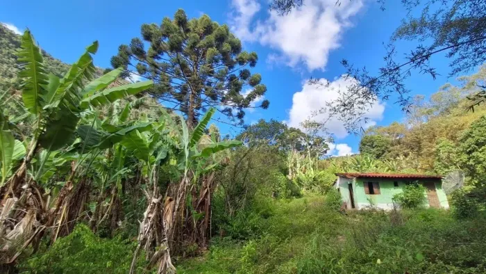 Imóvel rural Rural à Venda no Paiol Grande - São Bento do Sapucaí - SP