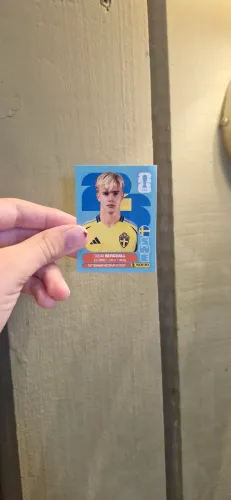 LUCAS BERGVALL (SWE 8)
