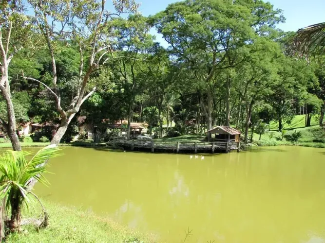Barrozo Imóveis - Sítio a venda paradisíaco com 4.95 alq, riacho, cachoeira para banho.