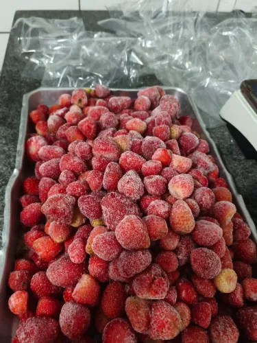 MORANGO E AMORA CONGELADO 