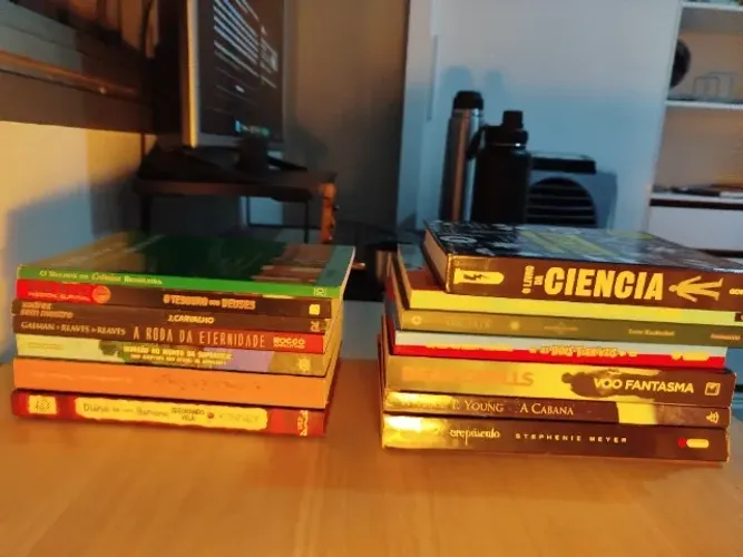 Lote de 14 Livros Variados: Ficção, Aventura, Infanto-Juvenil e Ciências