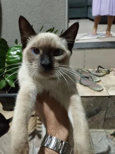 Doação 