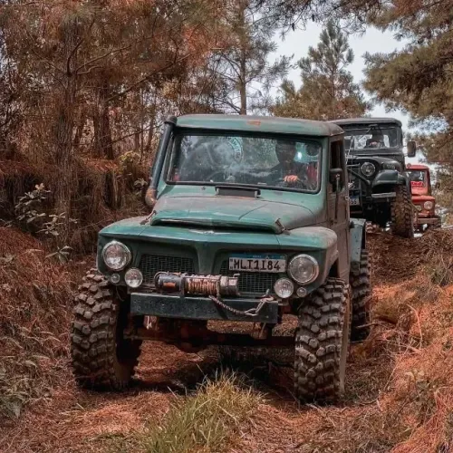 Ford F-75 4X4 2.3 1972