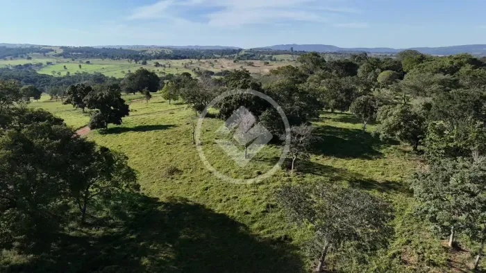 Hidrolândia - Fazenda de 128 Hectares codigo: 327901