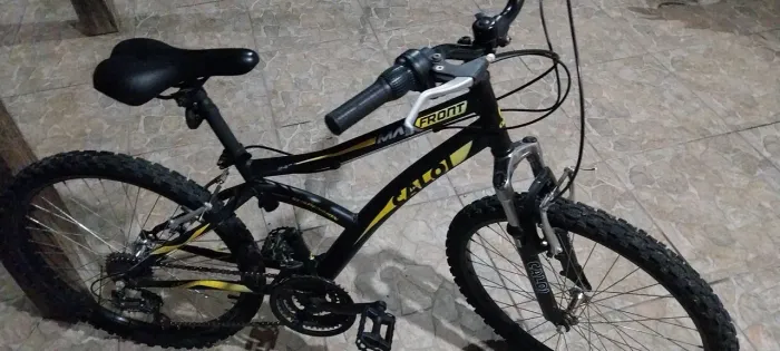 Bicicleta 
