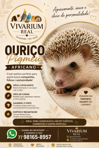 Disponível