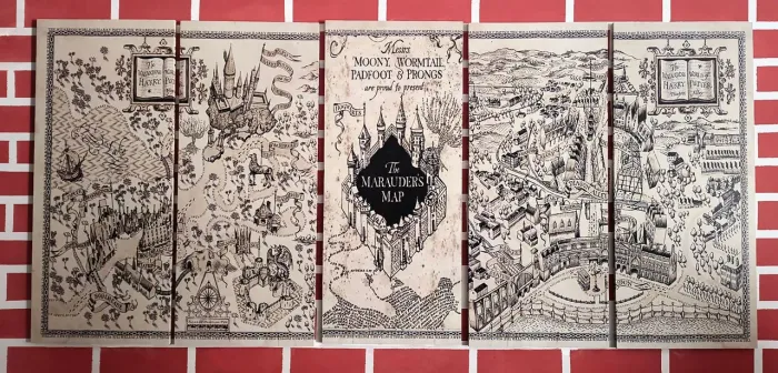 Quadro em MDF Harry Potter 