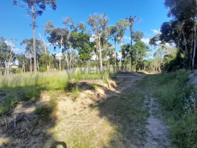 Chácara com 8.553m² - Tijucas do Sul.