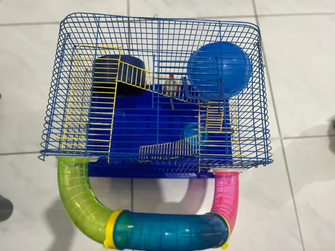 Gaiola para hamster