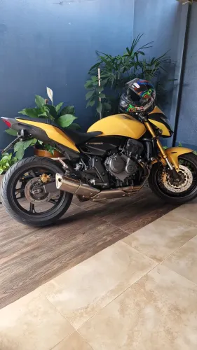 HORNET 2014
