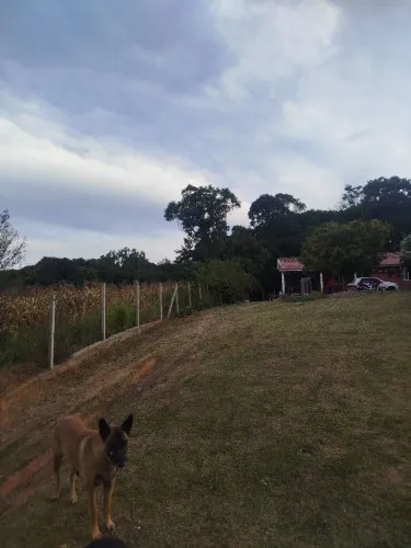CHÁCARA À VENDA - LAGOA GRANDE | ARAUCÁRIA/PR