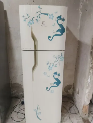 Electrolux df35a