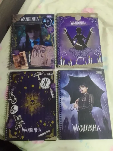 Cadernos 1 Matéria Wandinha  + Lote Variado. 
