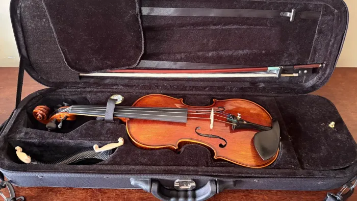 Violino Eagle VK 544 - 4/4 profissional
