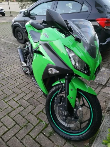 Kawasaki Ninja 300 2013