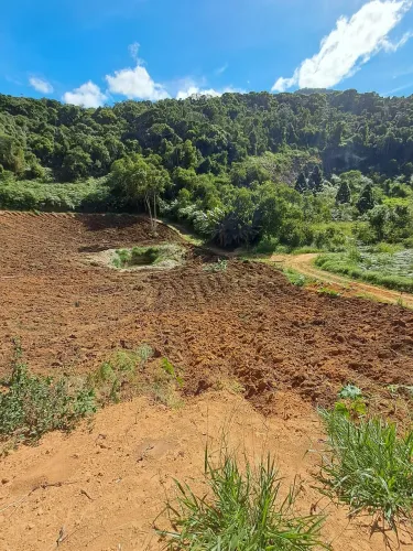 Chácara 1500m2 com água, luz e Internet a cabo (com proprietário)